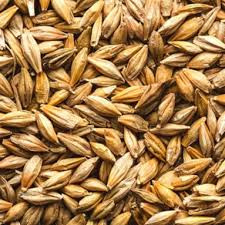 جو خوراک دام - برزیل